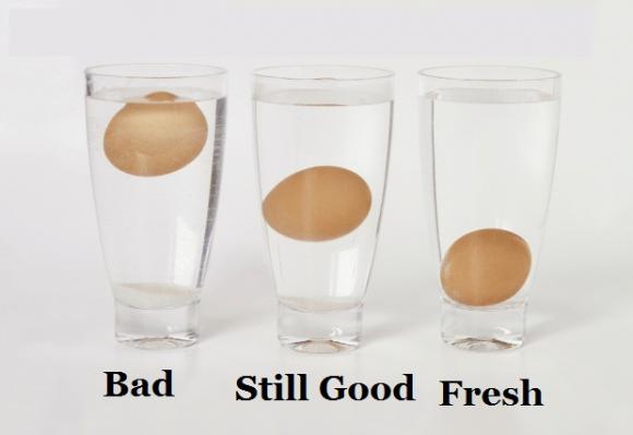 trứng, mẹo chọn trứng, độ tuổi của trứng, do tuoi cua trung, trứng gà