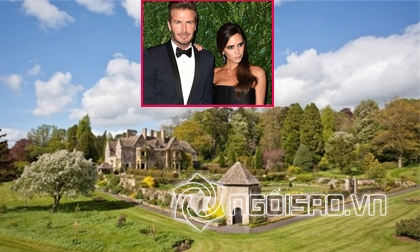 beckham, victoria beckham, vợ beckham