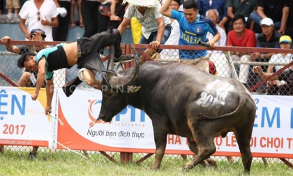 nên lưu trữ rau trong bao lâu, khử độc các loại rau, khử độc rau củ quả