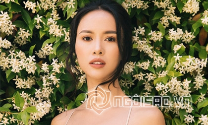 Huỳnh Thúy Anh, Hoa hậu Huỳnh Thúy Anh, Sao Việt