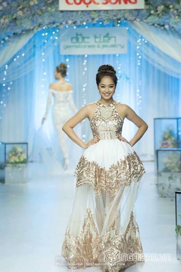 Huyền Trân, Hoa hậu châu Âu - Việt Nam 2017, Sao Việt