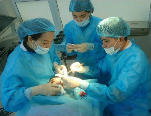 Thanh Bi, Thanh Bi phẫu thuật thẩm mỹ, diễn viên Thanh Bi,