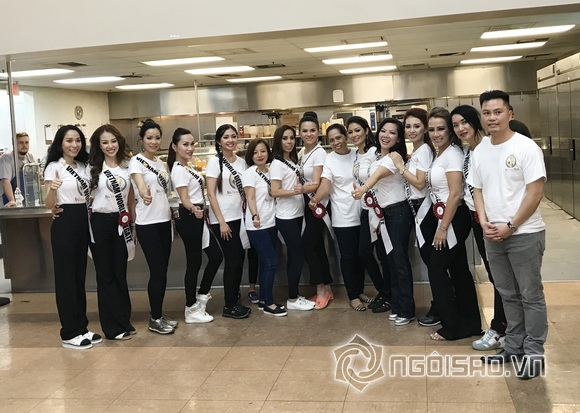 Mrs. Vietnam World 2017, hoa hậu Nguyễn Bảo Ngọc, Sao việt