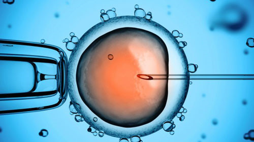 ung thư, trẻ sinh ra bằng cách thụ tinh ống nghiệm, thụ tinh ống nghiệm, nguy cơ ung thư, IVF,trẻ sinh ra bằng thụ tinh trong ống nghiệm,tin tức,kiến thức