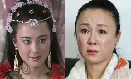 Phó Nghệ Vỹ, Đát Kỷ đẹp nhất màn ảnh, sao Việt