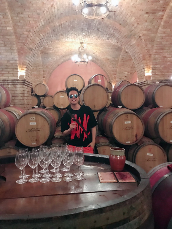 Nhật Tinh Anh, Sao Việt, Lâu đài Castello di Amorosa