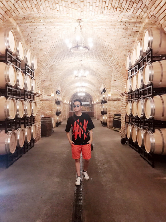 Nhật Tinh Anh, Sao Việt, Lâu đài Castello di Amorosa