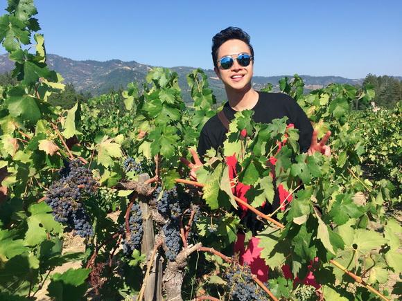 Nhật Tinh Anh, Sao Việt, Lâu đài Castello di Amorosa