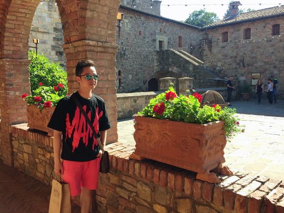 Nhật Tinh Anh, Sao Việt, Lâu đài Castello di Amorosa