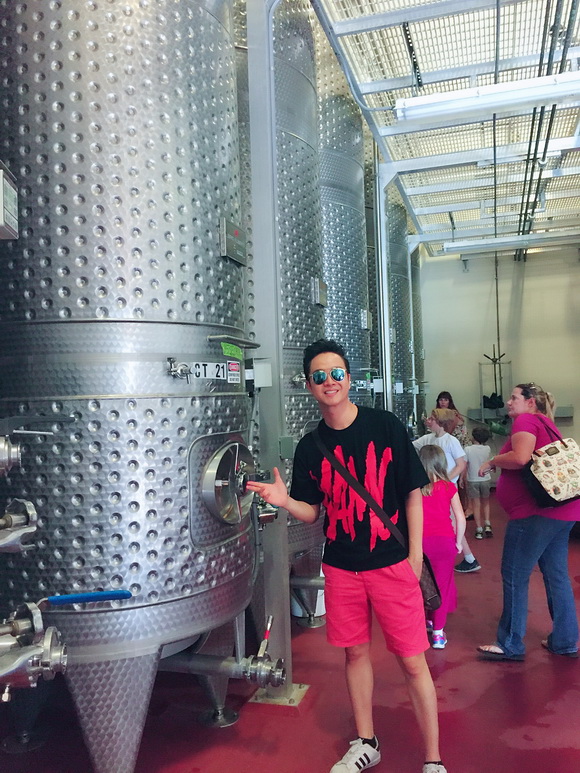 Nhật Tinh Anh, Sao Việt, Lâu đài Castello di Amorosa