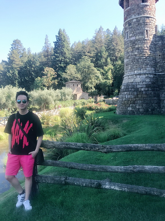 Nhật Tinh Anh, Sao Việt, Lâu đài Castello di Amorosa