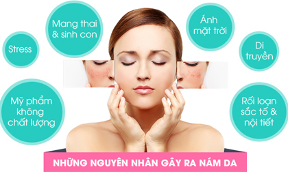 Phượng Hồng Kông, Thẩm mỹ viện Hồng Kông, Bé gấu