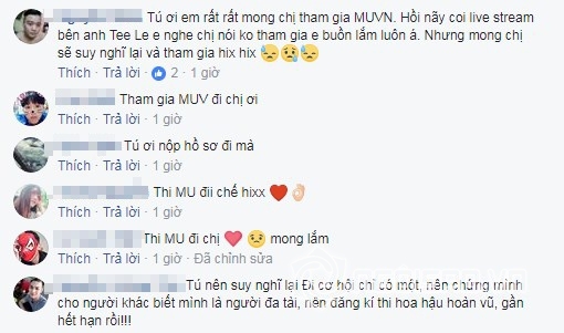 Minh Tú, siêu mẫu Minh Tú, Hoa hậu Hoàn vũ Việt Nam