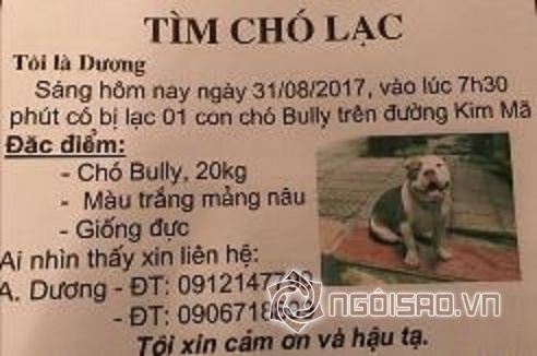 điểm tin sao Việt, sao Việt tháng 9, sao Việt, điểm tin sao Việt trong ngày, tin tức sao Việt hôm nay,chuyện làng sao