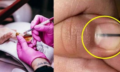 chắc chắn bạn sẽ không bao giờ vứt hạt nho đi nữa, vứt hạt nho, công dụng tuyệt vời của hạt nho,sức khỏe,chăm sóc sức khỏe