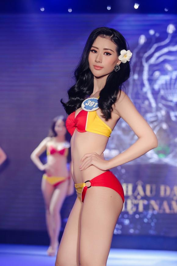 Hoa hậu đại dương,thí sinh hoa hậu đại dương,người đẹp hoa hậu đại dương,Hoa hậu,sao Việt
