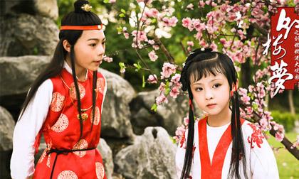 Hồng lâu mộng, Cao Hoành Lượng, mỹ nam đẹp nhất Hồng lâu mộng