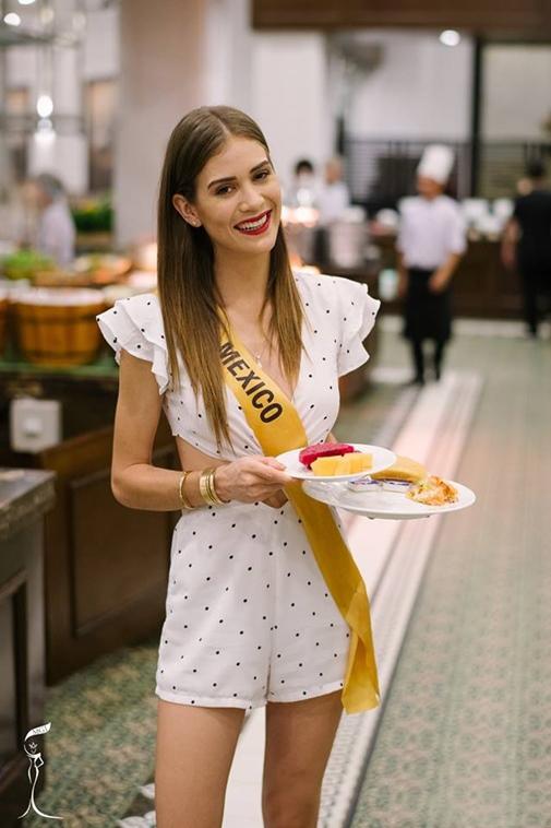 huyền my, Miss Grand, hoa hậu hòa bình thế giới 2017