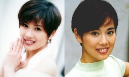sinh nhật TVB 50 năm,dàn mỹ nhân TVB,Hoa hậu Hồng Kông