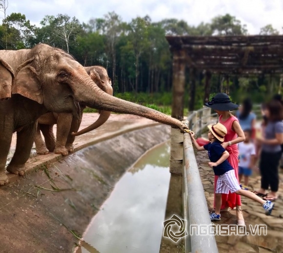 chuyện làng sao, sao Việt, điểm tin sao Việt, sao Việt tháng 10, điểm tin sao Việt trong ngày, tin tức sao Việt hôm nay