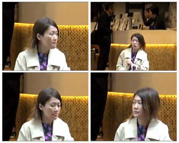 Chúc Anh Đài Lương Tiểu Băng, Lương Tiểu Băng, sao hoa ngữ