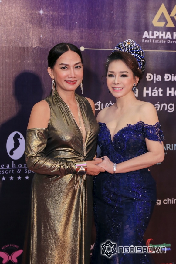 Phan Thị Ngọc Nga, hoa hậu Phan Thị Ngọc Nga, sao việt