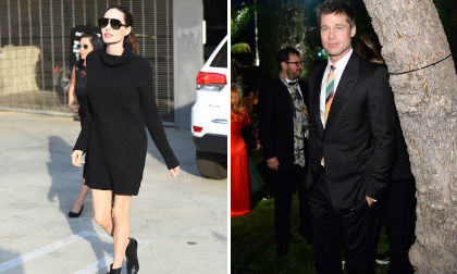 Angelina Jolie, Brad Pitt, nguyên nhân Angelina Jolie và Brad Pitt ly hôn