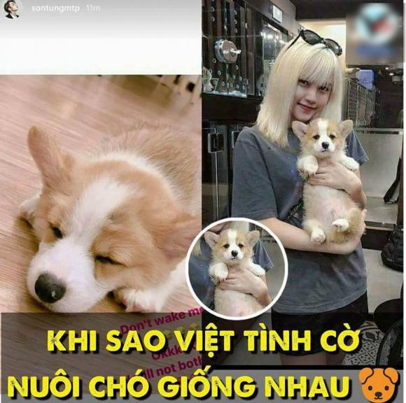 Sơn Tùng M-TP,Thiều Bảo Trâm,Sơn Tùng hẹn hò Thiều Bảo Trâm