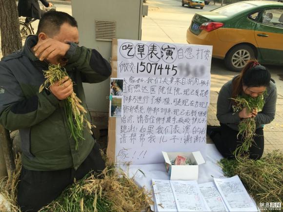 ung thư,cha mẹ ăn cỏ chữa bệnh cho con,cặp vợ chồng Trung Quốc