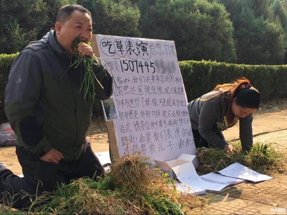 ung thư,cha mẹ ăn cỏ chữa bệnh cho con,cặp vợ chồng Trung Quốc
