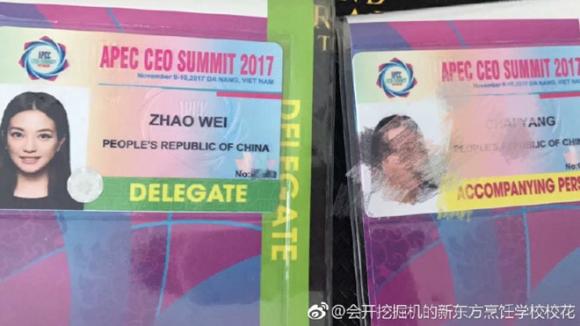 Triệu Vi tham dự hội nghị APEC, Triệu Vi, Sao hoa ngữ