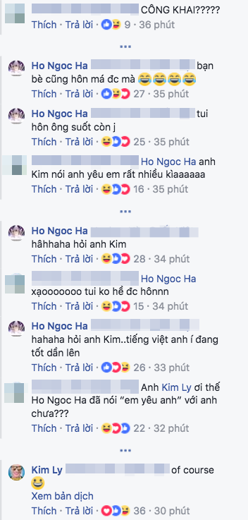 Hà Hồ - Kim Lý, Hồ Ngọc Hà, Sao Việt