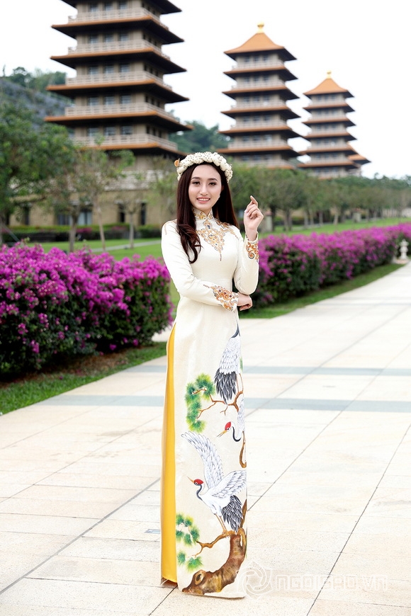 Võ Hồng Nhung, Hoa hậu sắc đẹp Việt Toàn cầu 2017, Sao việt