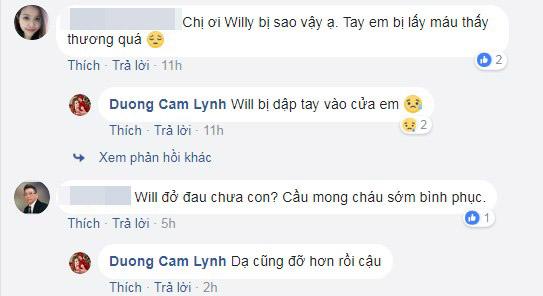 Dương Cẩm Lynh, con trai Dương Cẩm Lynh, diễn viên Dương Cẩm Lynh