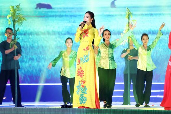 Dương Kim Ánh, Sao Việt