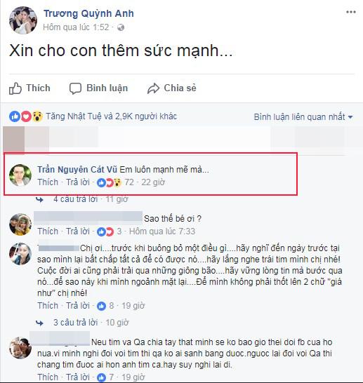Trương Quỳnh Anh, Bình Minh, Tim