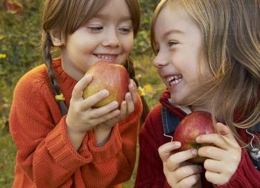 Ăn táo vào buổi tối tương đương với ăn chất độc, ăn táo vào buổi tối có độc không, sức khỏe