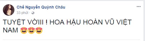 H'Hen Niê, Tân Hoa hậu Hoàn vũ Việt Nam, chung kết hoa hậu hoàn vũ