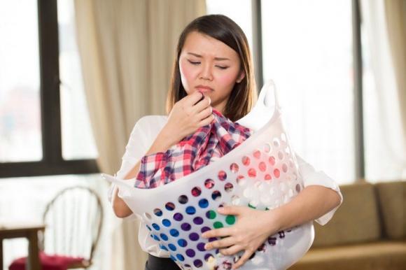 Ngửi mùi quần áo bẩn của chồng, phụ nữ giảm stress, phụ nữ sẽ giảm hẳn stress nếu ngửi mùi quần áo bẩn