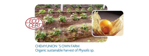 kem-viskin-191-3-ngoisao.vn-w580-h218 2 mỹ phẩm ViSkin, Kem dưỡng phục hồi da Viskin