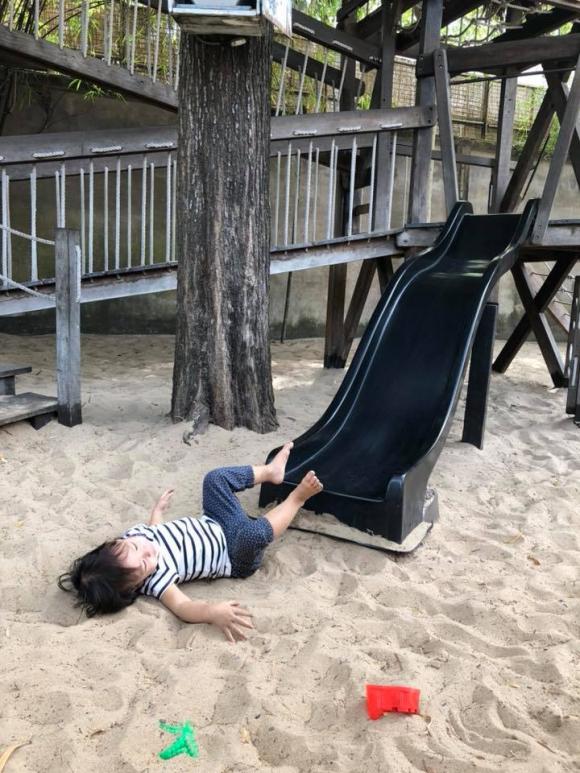  Lưu Hương Giang, Hồ Hoài Anh, con gái của  Lưu Hương Giang,