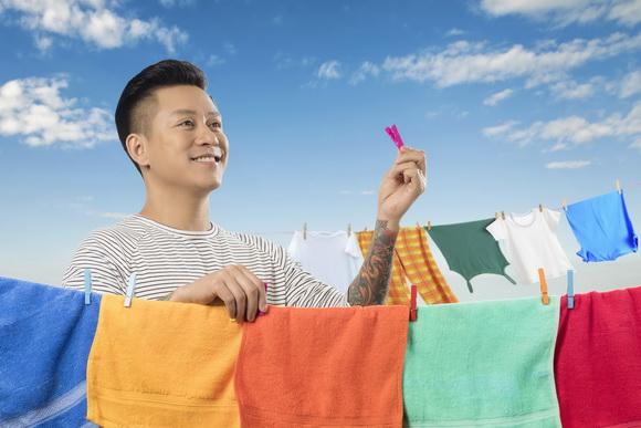 Tuấn Hưng, sao việt