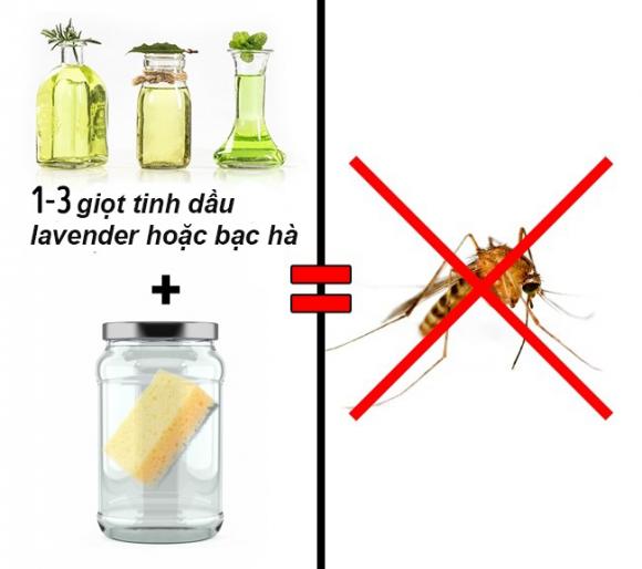 diệt côn trùng, cách diệt gián, cách diệt muỗi