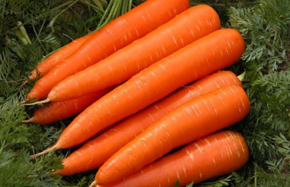 mứt tết, mứt cà rốt, món ngon ngày tết