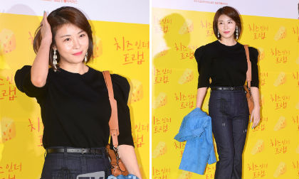 Ha Ji Won,sao Hàn,Ha Ji Won sang Việt Nam