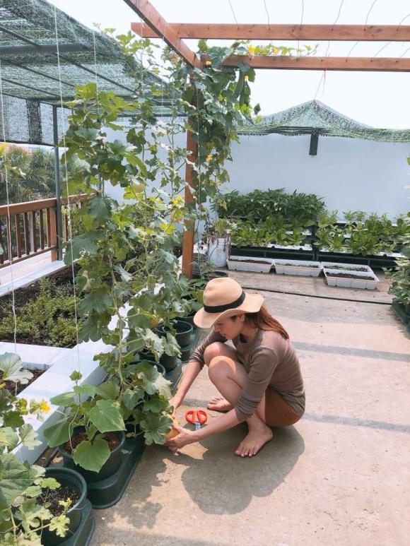 Hoa hậu Phương Lê, vườn rau sạch, sao Việt