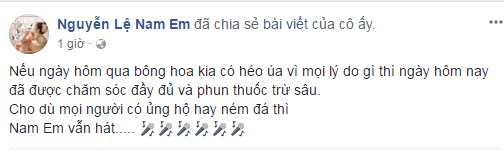 Nam Em, Trường Giang, scandal Nam Em