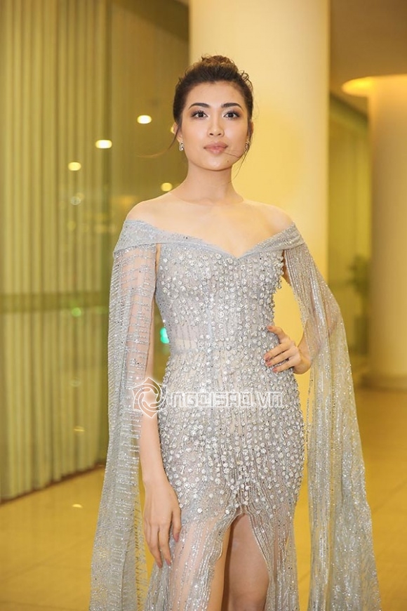 H'Hen Niê, Hoa hậu Hoàn vũ 2017, sao Việt