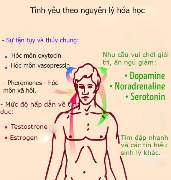 tình yêu, sự lãng mạn, tâm sự 