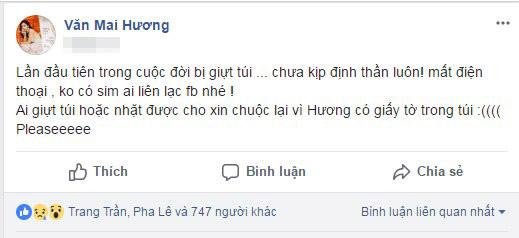 Văn Mai Hương, Văn Mai Hương bị giật túi xách, sao Việt